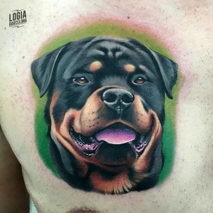 tatuaje-rottweiler-color-pecho-logia-barcelona-munilla   